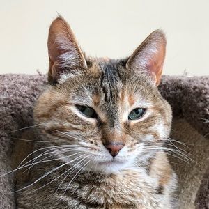 Meet your Posher, Lisa